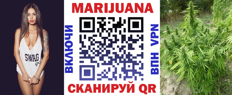 купить  цена  мориарти телеграм  мега tor  Канабис индика  Кохма 